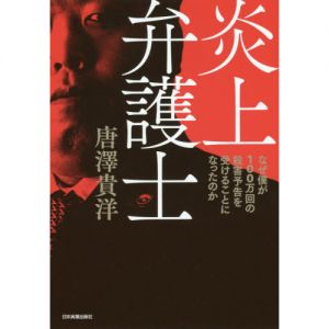 炎上弁護士 なぜ僕が100万回の殺害予告を受けることになったのか