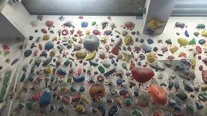 bouldering1_mini.jpg