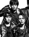三代目JSB、テレビ席巻で「一時期のAKB48推し」状態!?　古参の「顔ファン」批判騒動も