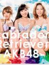 「パフォーマンスにしか見えない」AKB48、マスコミだけの会見であえて“厳戒警備”の魂胆