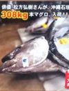 イラストで4,000万円稼ぐ田辺誠一、マグロ361キロの松方弘樹！　アツい話題の男たち