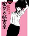 ありえないセックスが続く、官能”ファンタジー”小説『蜜色の秘書室』