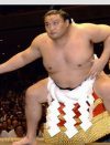 テレビ朝日の「貴乃花親方独占インタビュー」、内容よりも驚いたこと