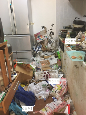 汚部屋の住人女が、人並みの「台所」を手に入れるまで――【汚画像アリ】決死レポートの画像1