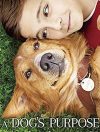 50年で3回生まれ変わった犬に心打たれる！　映画『僕のワンダフル・ライフ』のDVDをプレゼント