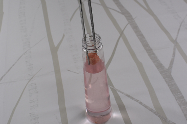 【100均ずぼらシュラン】セリア「ロングピンセット 」ハーバリウム作り初心者にはおすすめ？の画像5