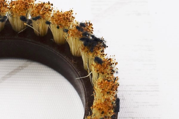 【100均ずぼらシュラン】ダイソー「毛だま取りブラシ」、特殊先端加工の評価は……？の画像7