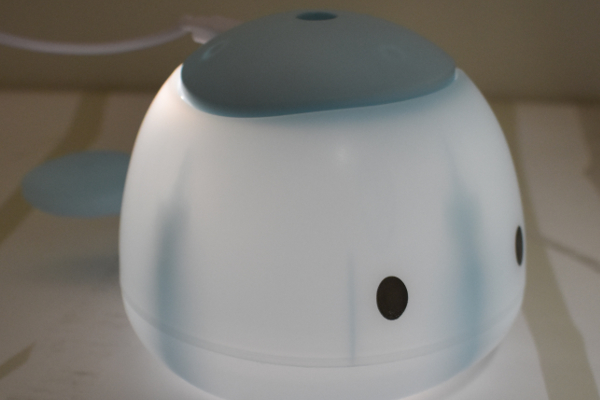 【100均ずぼらシュラン】ダイソー「ミニ加湿器（くじら）」デスクの上でつぶらな瞳が見つめてくる！の画像9