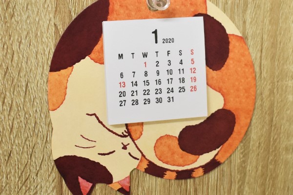 【100均ずぼらシュラン】ダイソー「ダイカットミニカレンダー（まんまる猫）」2020年はこの子に決めた！の画像4