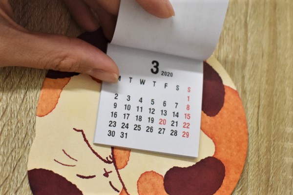 【100均ずぼらシュラン】ダイソー「ダイカットミニカレンダー（まんまる猫）」2020年はこの子に決めた！の画像5