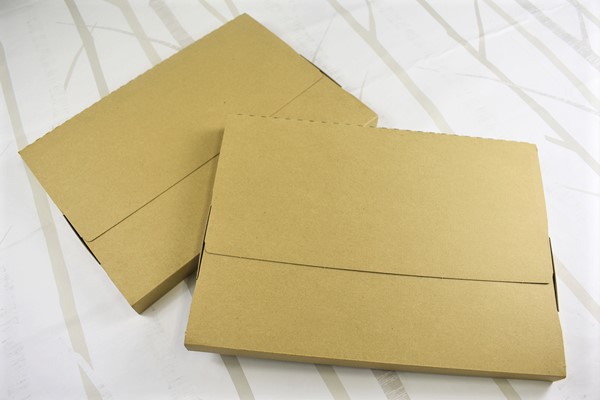 【100均ずぼらシュラン】ダイソー「梱包用発送ケース」サイズと開閉ジッパーが嬉しいの画像1