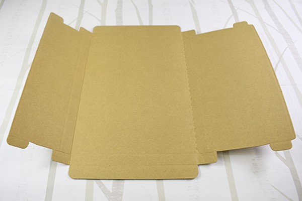 【100均ずぼらシュラン】ダイソー「梱包用発送ケース」サイズと開閉ジッパーが嬉しいの画像4