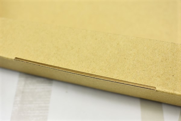 【100均ずぼらシュラン】ダイソー「梱包用発送ケース」サイズと開閉ジッパーが嬉しいの画像5