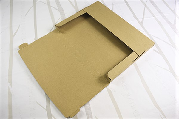 【100均ずぼらシュラン】ダイソー「梱包用発送ケース」サイズと開閉ジッパーが嬉しいの画像6