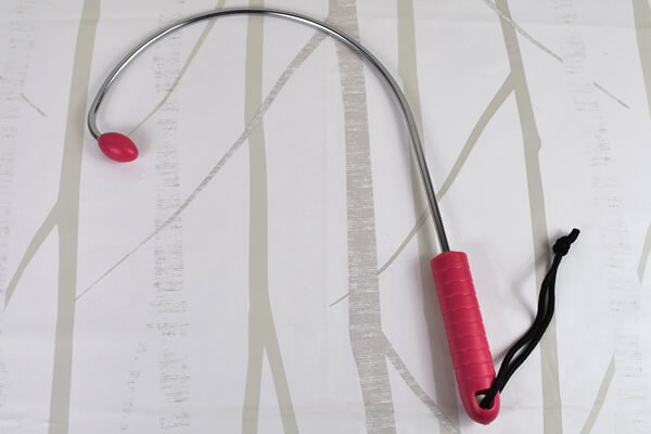 【100均ずぼらシュラン】ダイソー「スチール製すっきりバー」の刺激は反則級……絶妙な快楽体験！の画像1