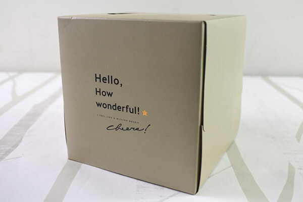 【100均ずぼらシュラン】GT研究所×ダイソーのコラボ商品「GTボックスティッシュ」はスタイリッシュなサイズ感が◎の画像2