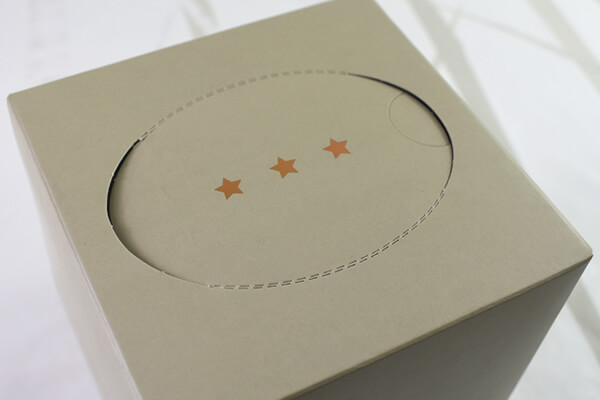 【100均ずぼらシュラン】GT研究所×ダイソーのコラボ商品「GTボックスティッシュ」はスタイリッシュなサイズ感が◎の画像3