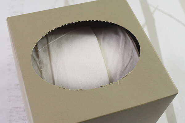 【100均ずぼらシュラン】GT研究所×ダイソーのコラボ商品「GTボックスティッシュ」はスタイリッシュなサイズ感が◎の画像4