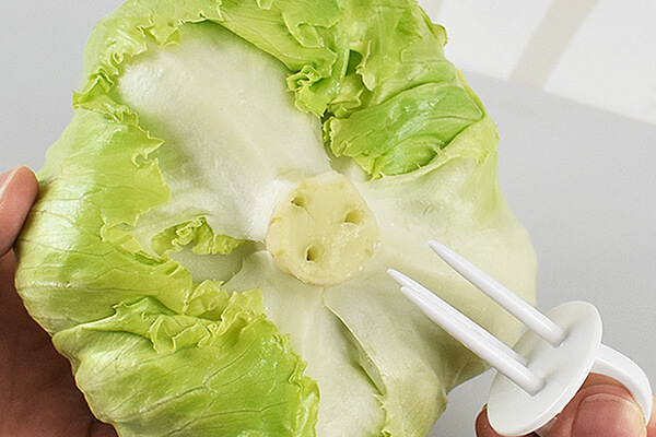 【100均ずぼらシュラン】セリア「野菜フレッシュキーパー」茎に刺せば野菜の成長速度を抑えるから長持ちの画像5