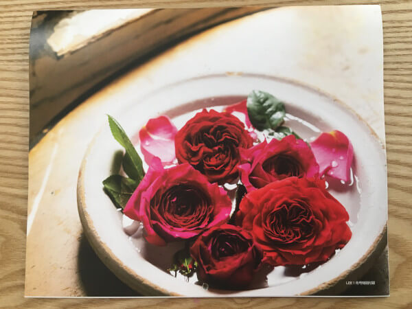 【付録レビュー】「LEE」1月号はキスマイ・玉森裕太ファンも注目!?　880円でL.L.Beanのふわもこトート＆カレンダー付きの超豪華版！【女性誌】の画像9