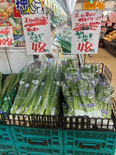 本日の目玉商品野菜