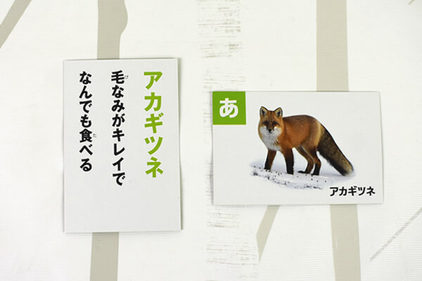 【ダイソーVSセリア】100均「かるた」対決！　歴史や生き物を遊びながら学べるの画像6