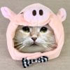 スリコ（3COINS）の「ブタのかぶりもの」は、ペットに被せるだけでSNS映え！