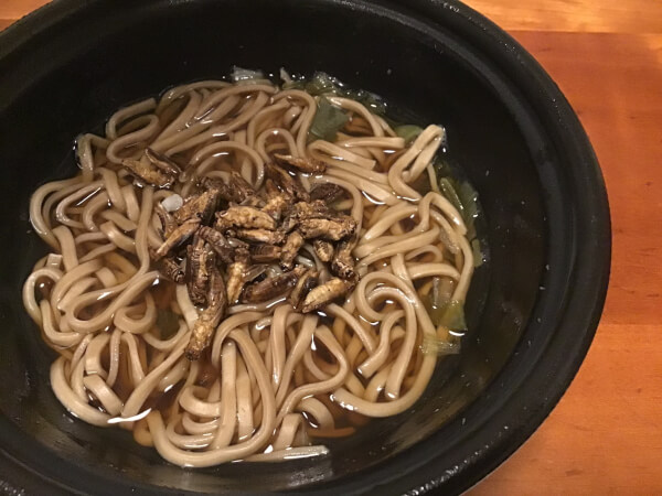 追いコオロギのせてみた！（C）サイゾーウーマン