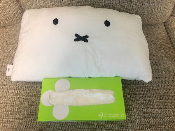 ティッシュ1箱と比較