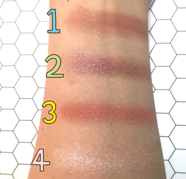 手に載せた様子