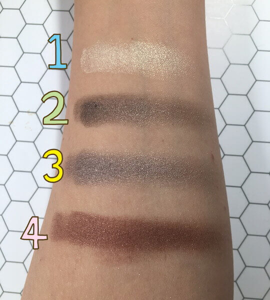 手に載せた様子