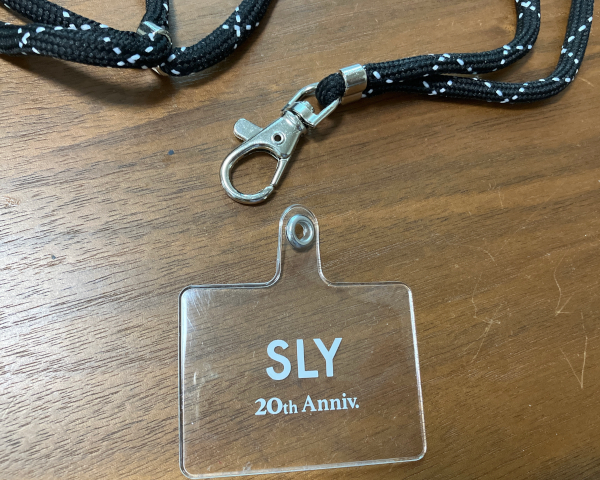 ホルダーシート（ケースに挟むカード）部分は横5.1×縦4cm（C）サイゾーウーマン