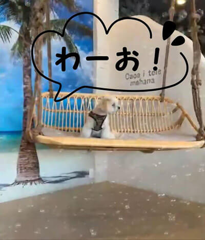 山田菜々が編集した動画のスクリーンショット