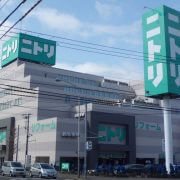 【ダイソー・セリア】100均だと損する収納グッズ5選！　ニトリ・コーナンのほうが安い！